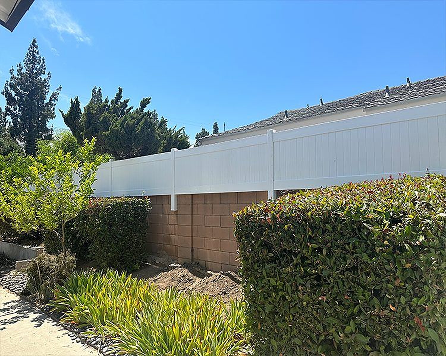White vinyl fence on a block wall with hedges